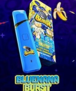 buy bluenana burst disposable 2g