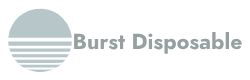 burstdisposablesvape.com